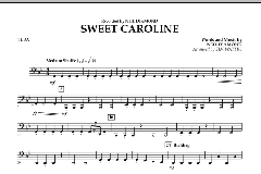 Sweet Caroline von Neil Diamond (Download) 