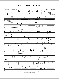 Shooting Stars von Richard L. Saucedo (Download) 