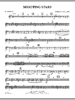 Shooting Stars von Richard L. Saucedo (Download) 