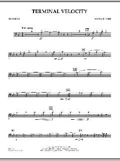 Terminal Velocity von Michael Oare (Download) 