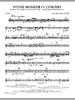 Stevie Wonder In Concert (Download) 
