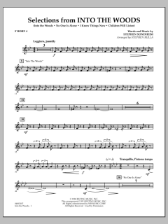 Selections From Into The Woods von Stephen Sondheim (Download) 