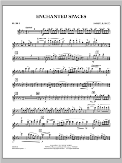 Enchanted Spaces von Samuel R. Hazo (Download) 