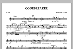Codebreaker von Robert Buckley Farlee (Download) 
