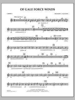 Of Gale Force Winds von Richard L. Saucedo (Download) 