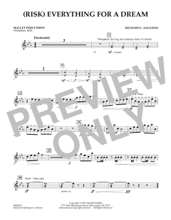 (Risk) Everything for A Dream von Richard L. Saucedo (Download) 