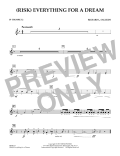 (Risk) Everything for A Dream von Richard L. Saucedo (Download) 
