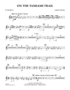 On The Tamiami Trail von James Curnow (Download) 