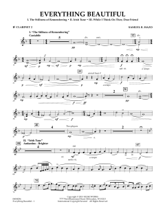 Everything Beautiful von Samuel R. Hazo (Download) 