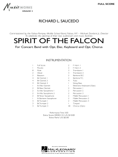 Spirit Of The Falcon von Richard Saucedo 