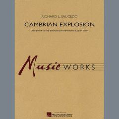 Cambrian Explosion (Richard Saucedo) 