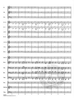 Allegretto aus: Symphonie Nr. 7 A-Dur op. 92 von Ludwig van Beethoven (Download) 