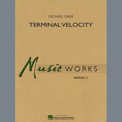 Terminal Velocity von Michael Oare 