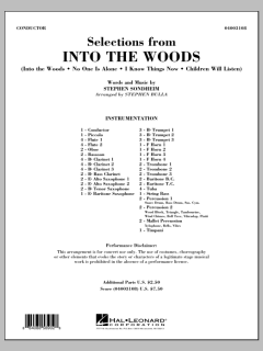 Selections From Into The Woods von Stephen Sondheim (Download) 