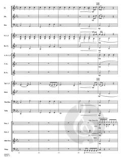 Skyfall von Adele Adkins 