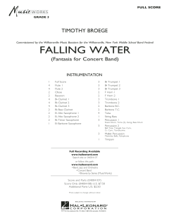 Falling Water von Timothy Broege 