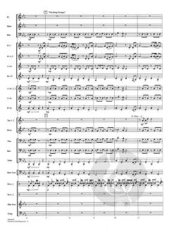 Southern Folk Rhapsody (Michael Sweeney) 
