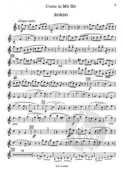 Hornkonzert Nr. 2 Es-Dur o. Op. AV 132 von Richard Strauss für Horn und Kammerorchester