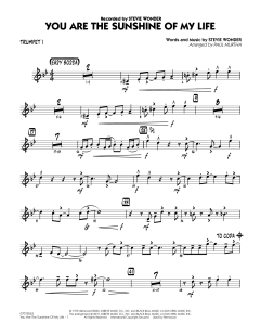 You Are The Sunshine Of My Life von Stevie Wonder (Download) 