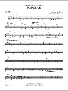 Popular von Stephen L. Schwartz (Download) 