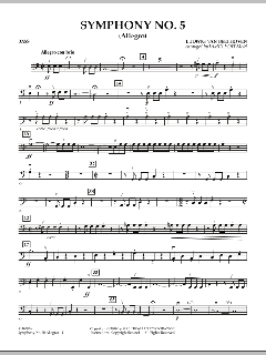 Symphonie Nr. 5 c-Moll op. 67 von Ludwig van Beethoven (Download) 
