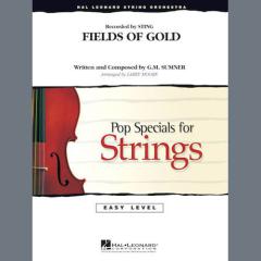 Fields of Gold von Sting (Download) 
