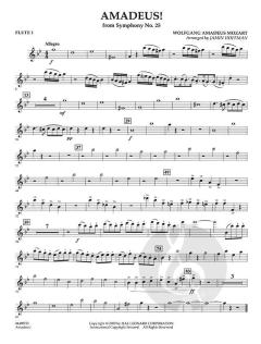 Amadeus! von Wolfgang Amadeus Mozart (Download) 