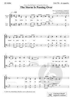 The Storm Is Passing Over von Niko Schlenker (Download) 