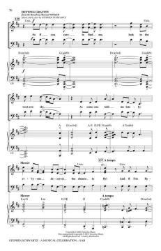 Stephen Schwartz - A Musical Celebration (Stephen L. Schwartz) 