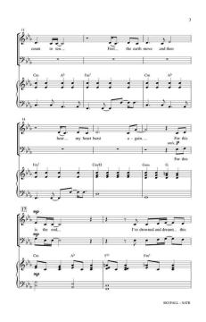 Skyfall von Adele Adkins 