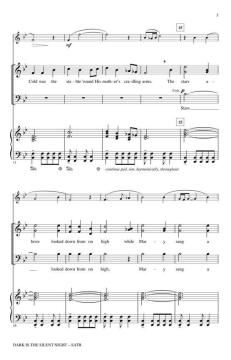 Dark Is The Silent Night (Audrey Snyder) 