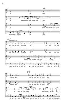 Be True To Your School von Mike Love (Download) 