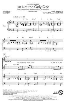 I'm Not The Only One (Sam Smith) 