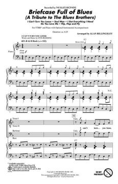 Briefcase Full Of Blues von The Blues Brothers (Download) 
