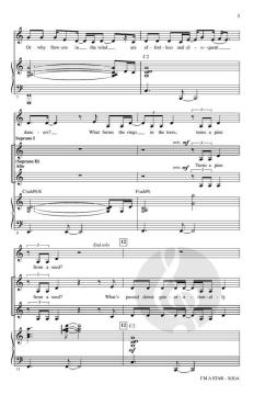 I'm a Star von Benjamin Rice (Download) 