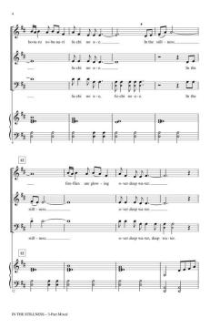 In The Stillness von Audrey Snyder (Download) 