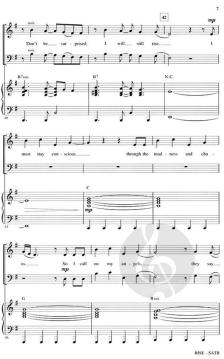 Rise (Katy Perry) 