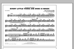 Every Little Thing She Does Is Magic von The Police (Download) 
