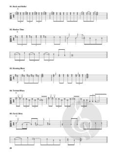 1000 Guitar Licks 