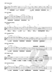 1000 Guitar Licks 