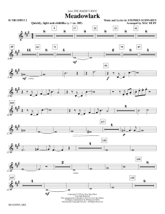 Meadowlark von Stephen L. Schwartz (Download) 