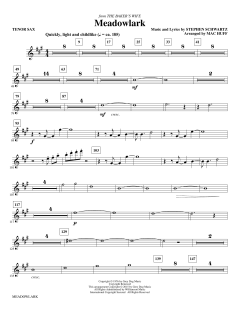 Meadowlark von Stephen L. Schwartz (Download) 