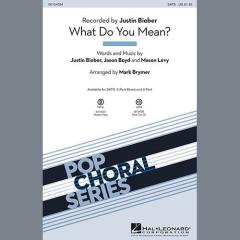 What Do You Mean? von Justin Bieber (Download) 