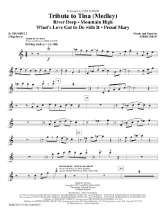 Tribute To Tina (Download) 