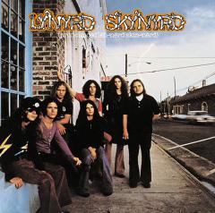 I Ain't The One von Lynyrd Skynyrd (Download) 