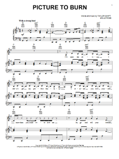 Picture To Burn von Taylor Swift (Download) 