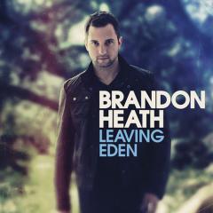 Stolen von Brandon Heath (Download) 