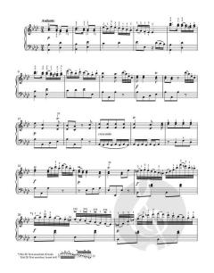 Sämtliche Sonaten für Klavier 1 von Ludwig van Beethoven (Download) 