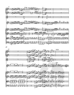 Violinkonzert D-Dur KV 211 von Wolfgang Amadeus Mozart 