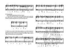 Les Fondements de la Basse Continue au 17eme siecle von Jesper B Christensen 